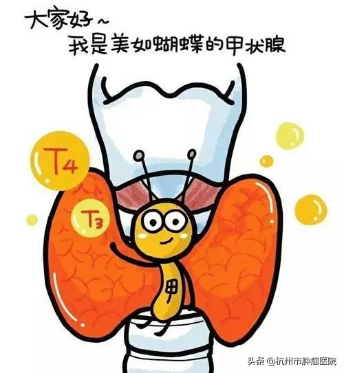 查出甲状腺结节其实是好事,目前查出甲状腺结节的人越来越多