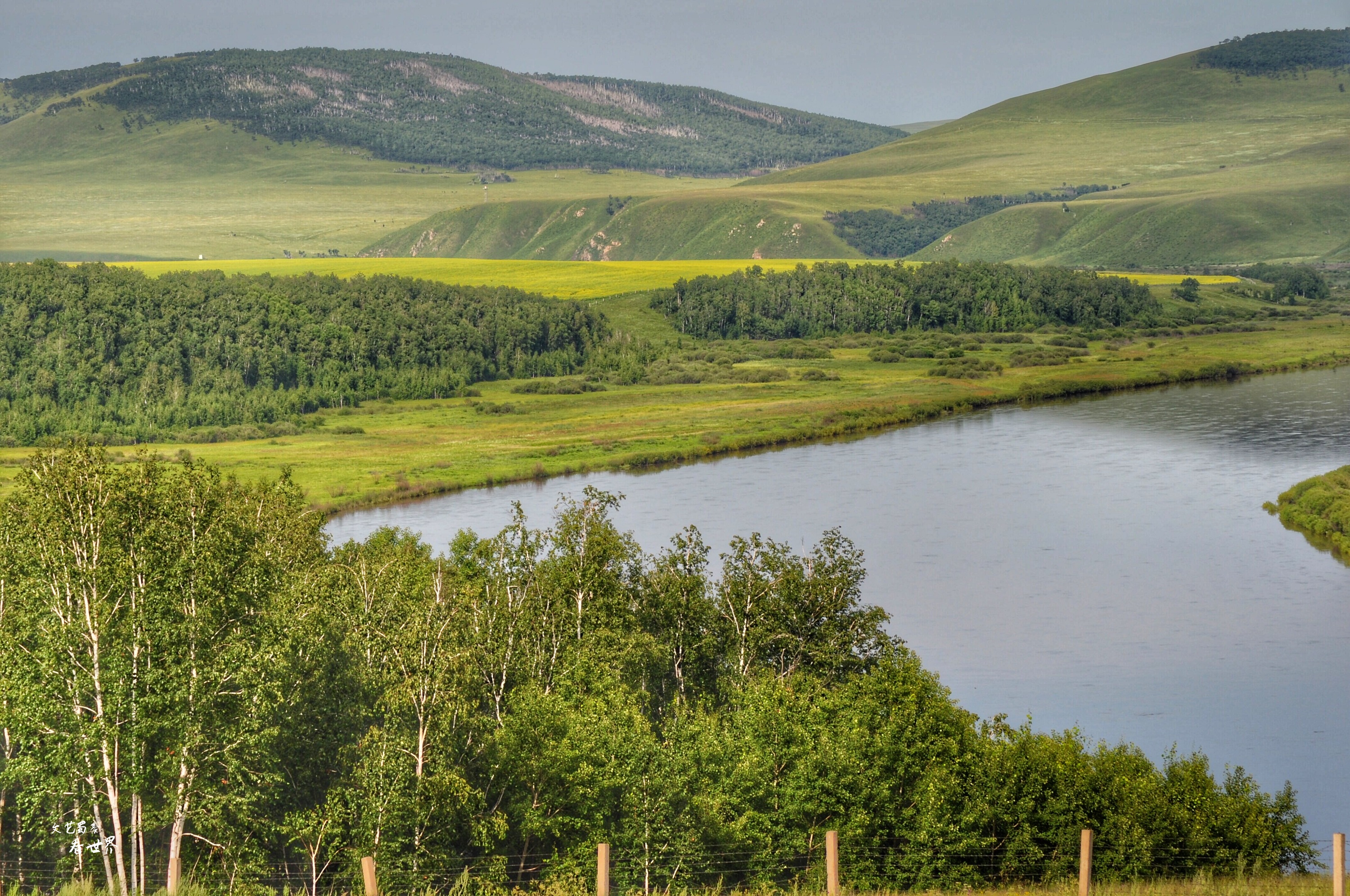 额尔古纳河离呼伦贝尔大草原远吗 (额尔古纳草原深度游)