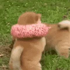 今日表情包第三弹图片,今日表情包收藏