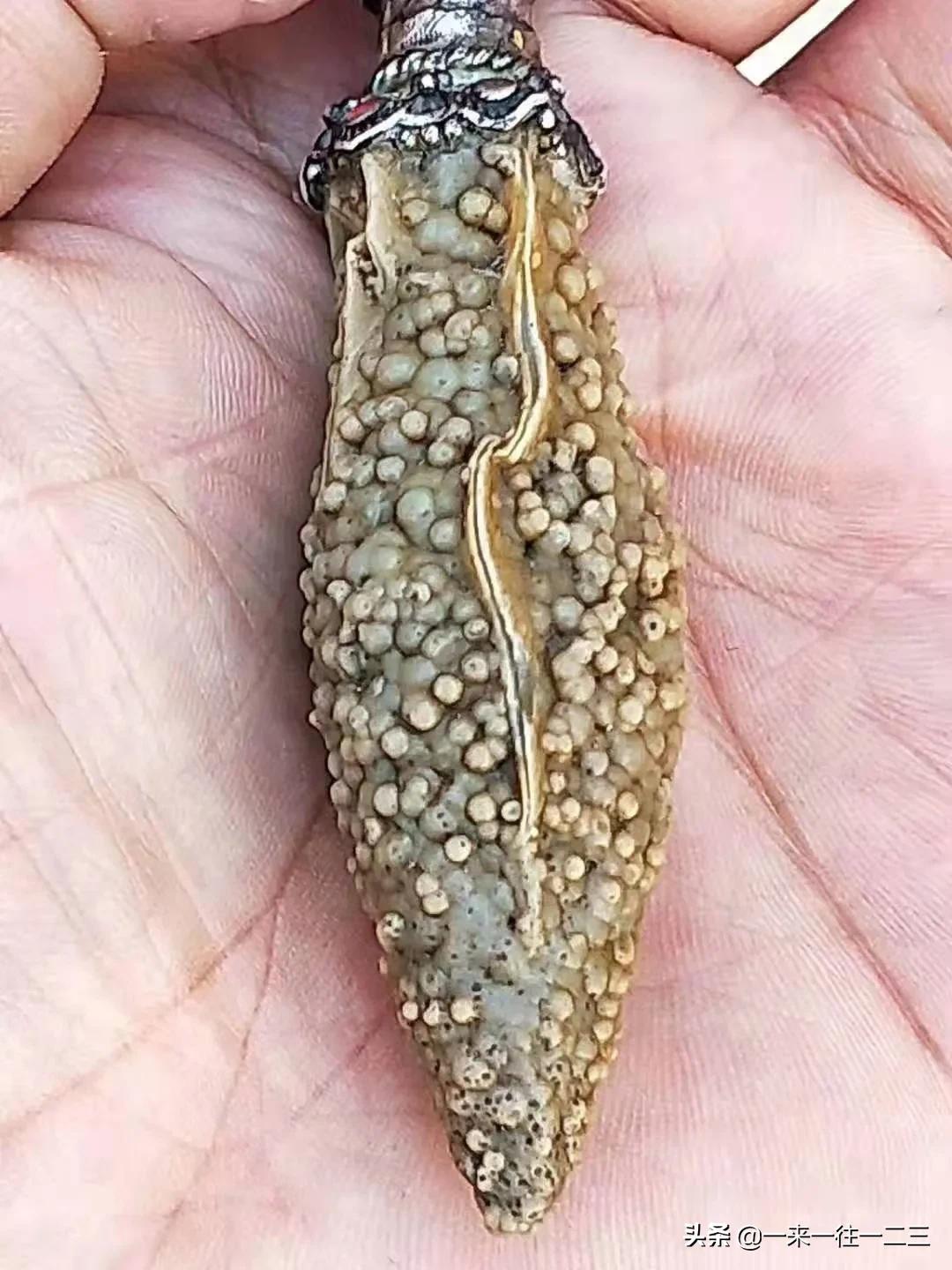 阿拉善天然戈壁奇石,阿拉善戈壁沙漠奇石