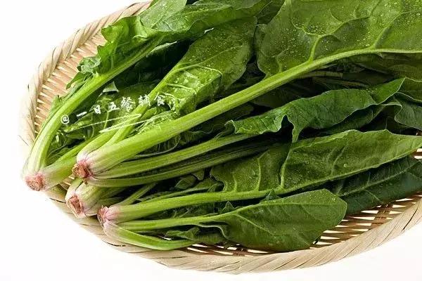 菠菜红枣补铁效果好,菠菜含铁量搞错了一百年