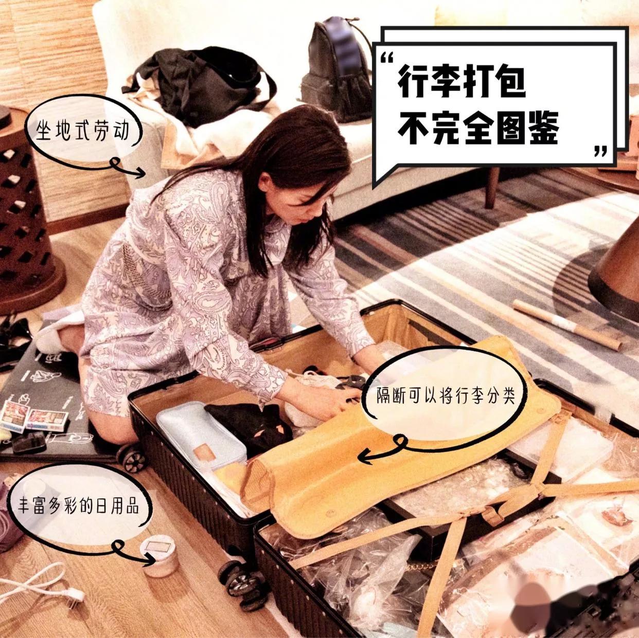 刘涛行李箱欢乐颂,刘涛旅行箱收纳