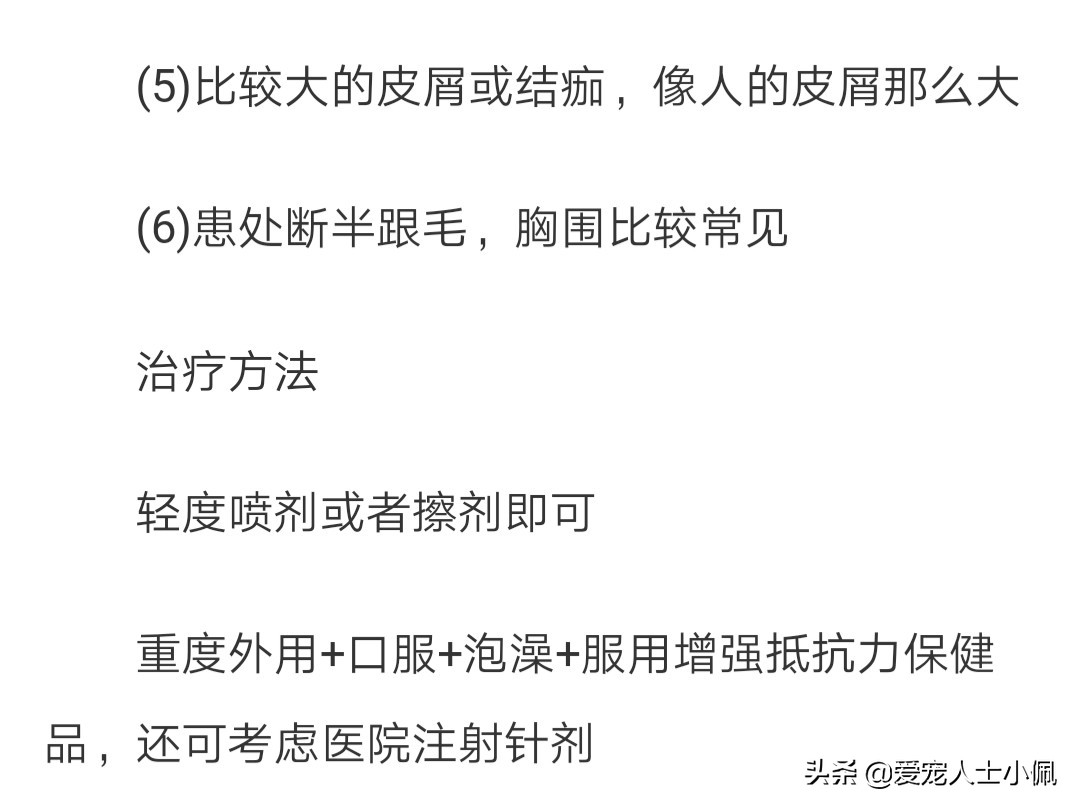 猫狗得了皮肤病怎么治疗,猫狗皮肤病怎么才算好