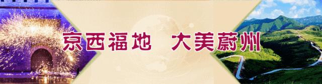 蔚县十大新型创业项目加盟,蔚县投资