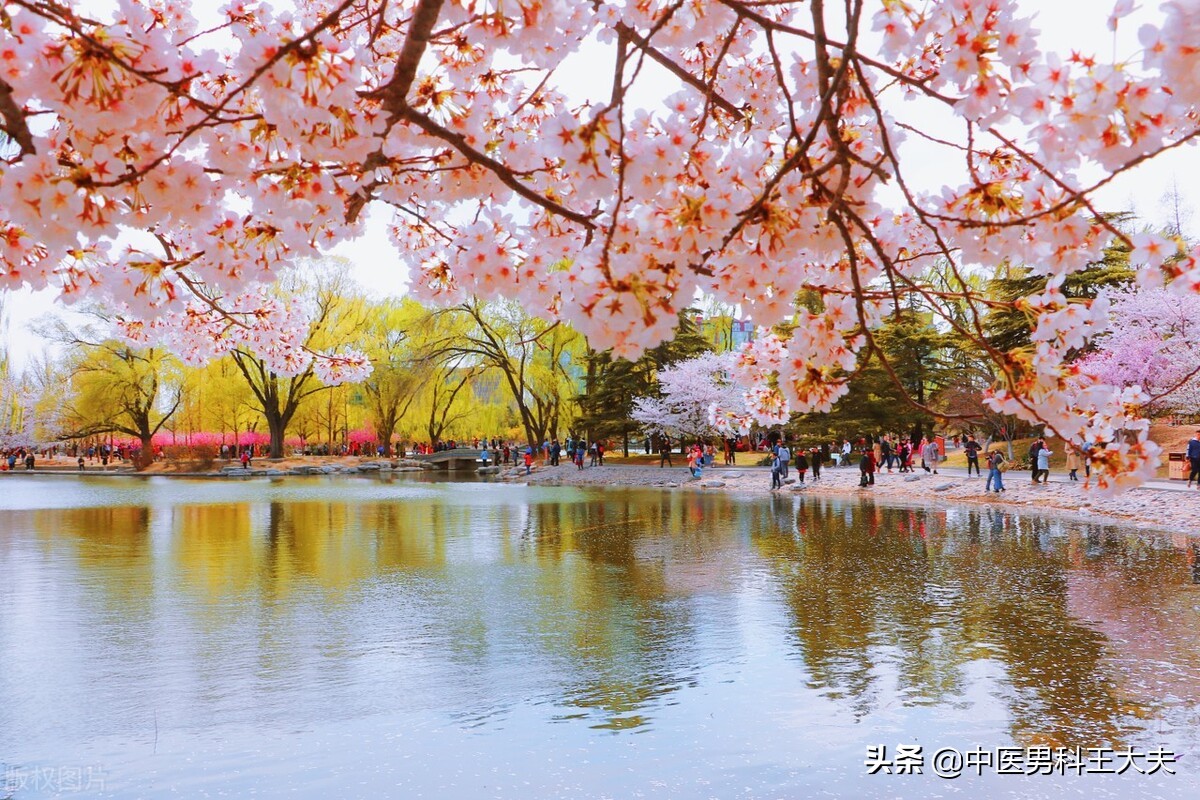 肾虚的危害是什么,肾虚对身体的危害有多大