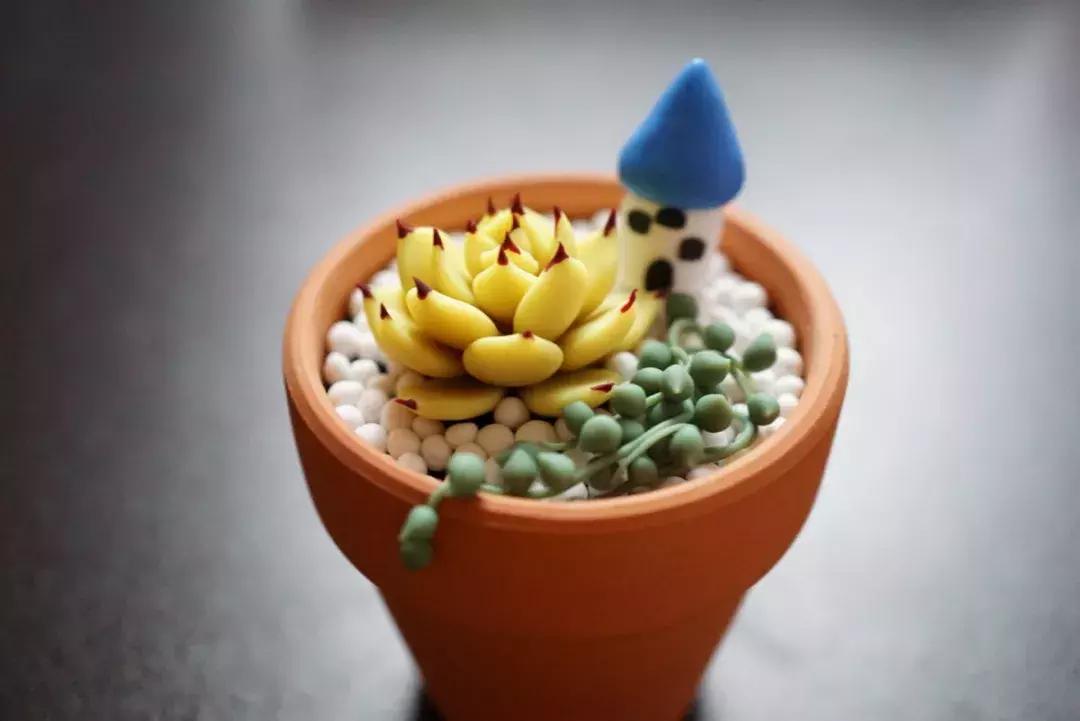 欧森悦光森林营地,欧森黄山国际夏令营有什么玩的