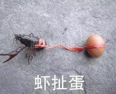 涓轰簡鑰佸叕鏀惧純鎭嬬埍,涓轰簡鑰佸叕濮旀洸姹傚叏