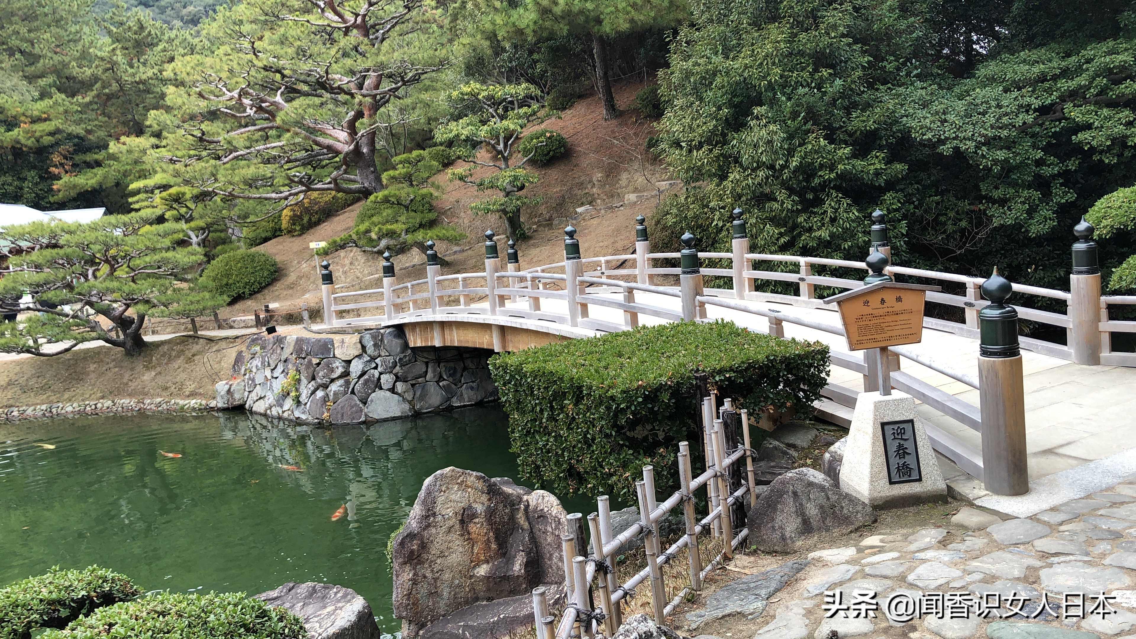 日本的米其林三星餐厅,日本米其林三星参观