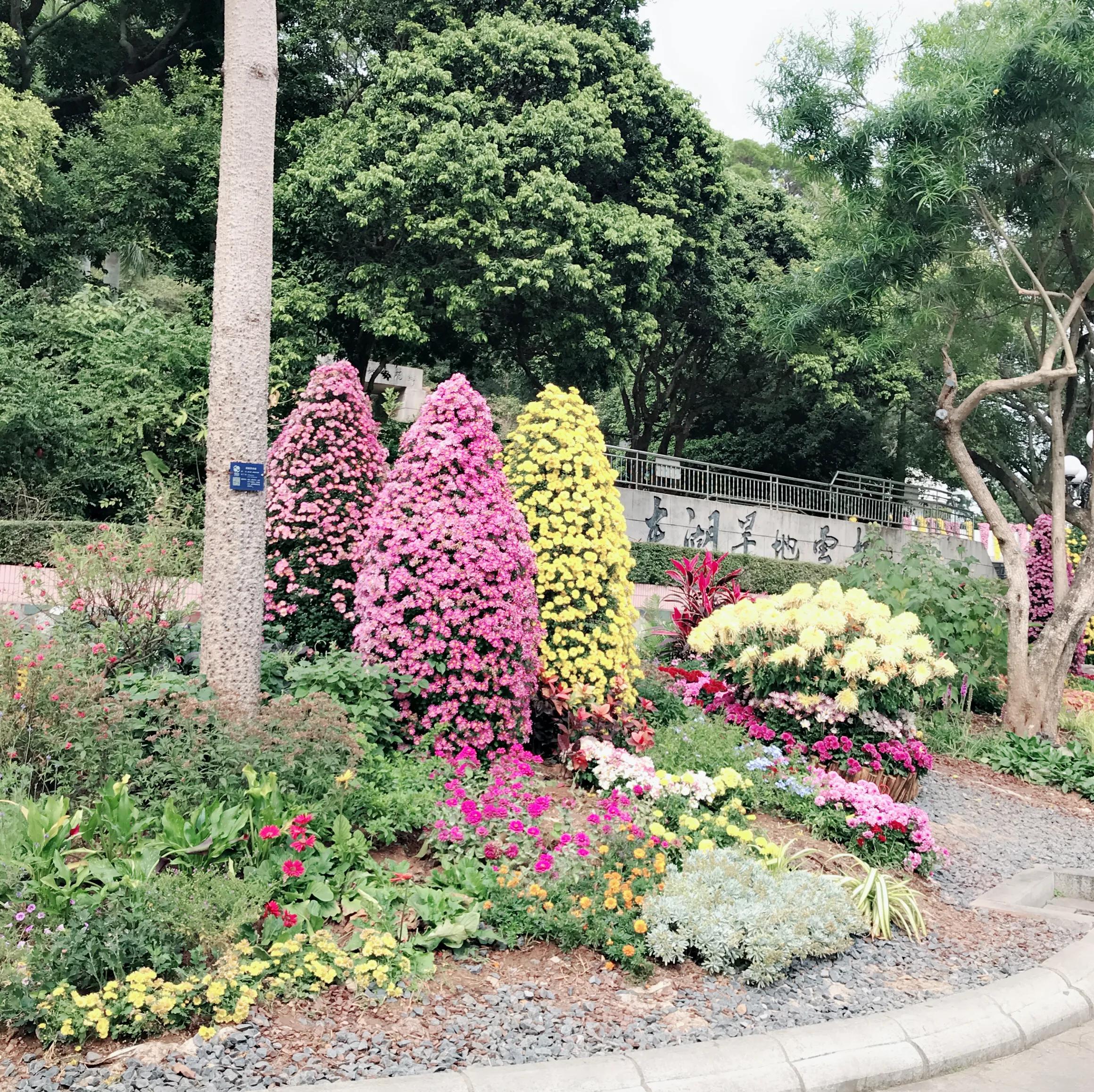 閬涘▋濂藉幓澶勮強鑺卞睍,娣卞湷閬涘▋鐪嬪睍