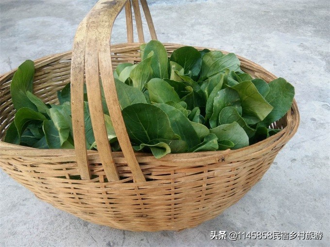 安徽省黟县宏村景区听雨楼客栈,宏村栖梧旅行精选徽派景观民宿