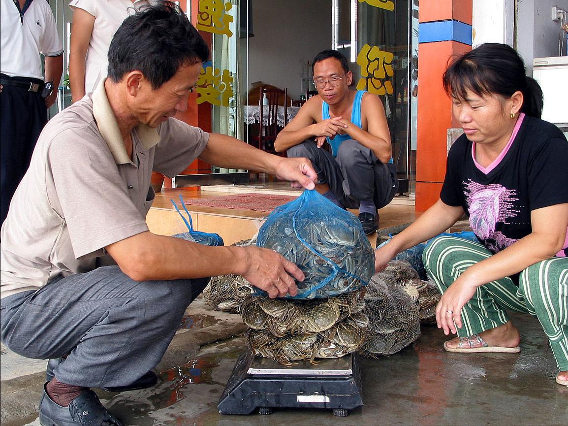 螃蟹公蟹怎么挑选才是正确的,螃蟹怎么选择公蟹还是母蟹好