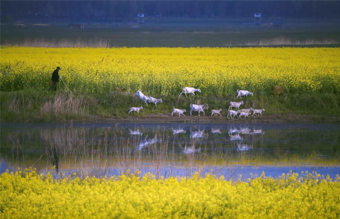 灌云有什么游玩的景点吗,灌云旅游景点推荐一日游