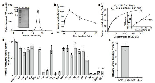 施一公与徒弟颜宁,施一公徒弟颜宁