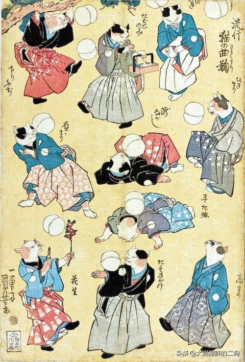 日本皇室特别喜欢给动物封官，每一个级别都比大名高