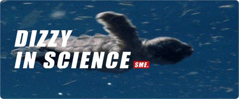 还想再活五百年？不，你的基因不想你活得那么久