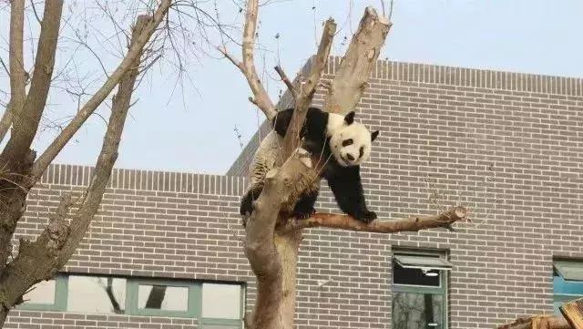 活动锦集|你在点金的每一个点滴，都值得被记住