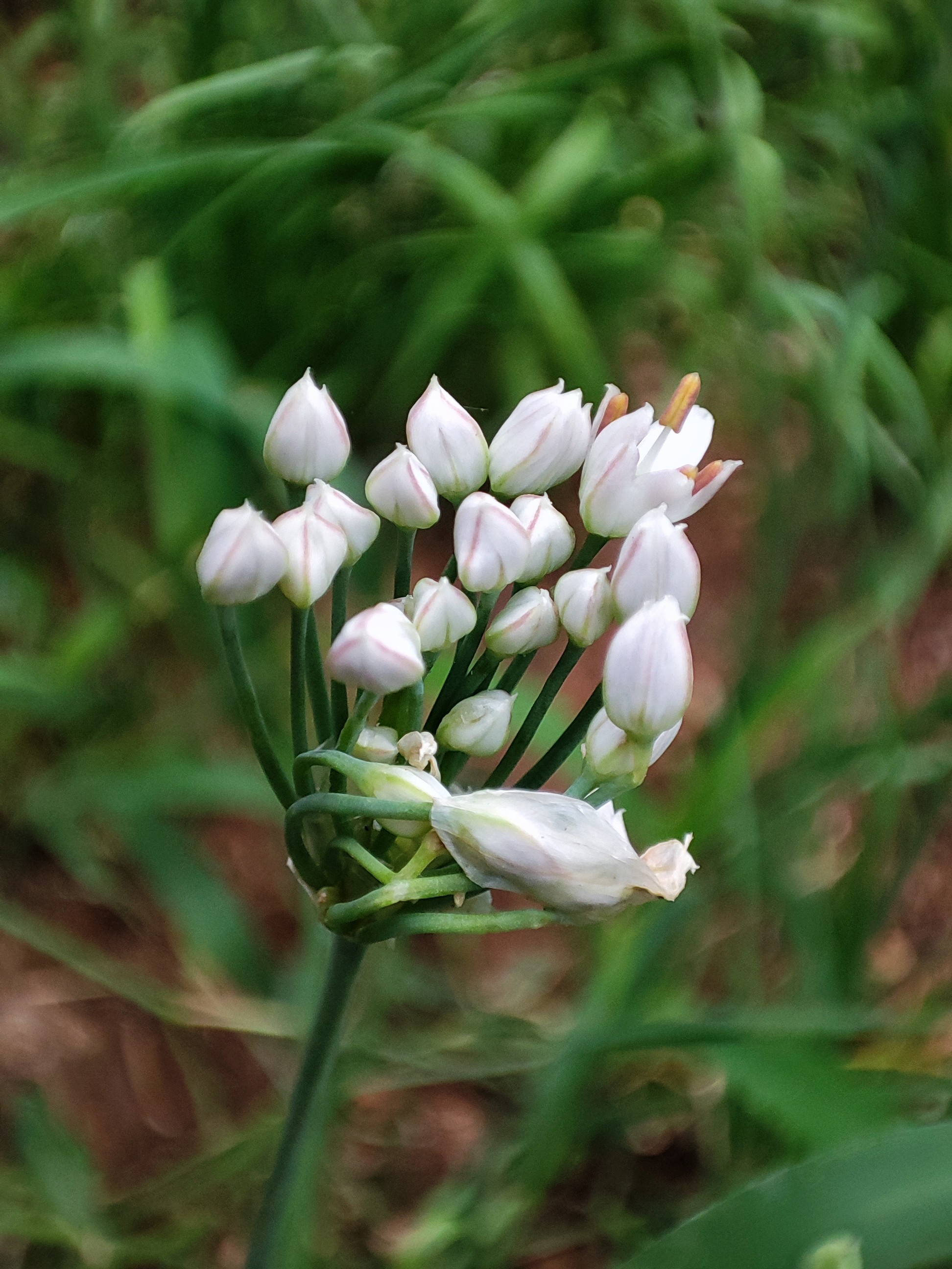 一字之差用错药,一字之差最好的药