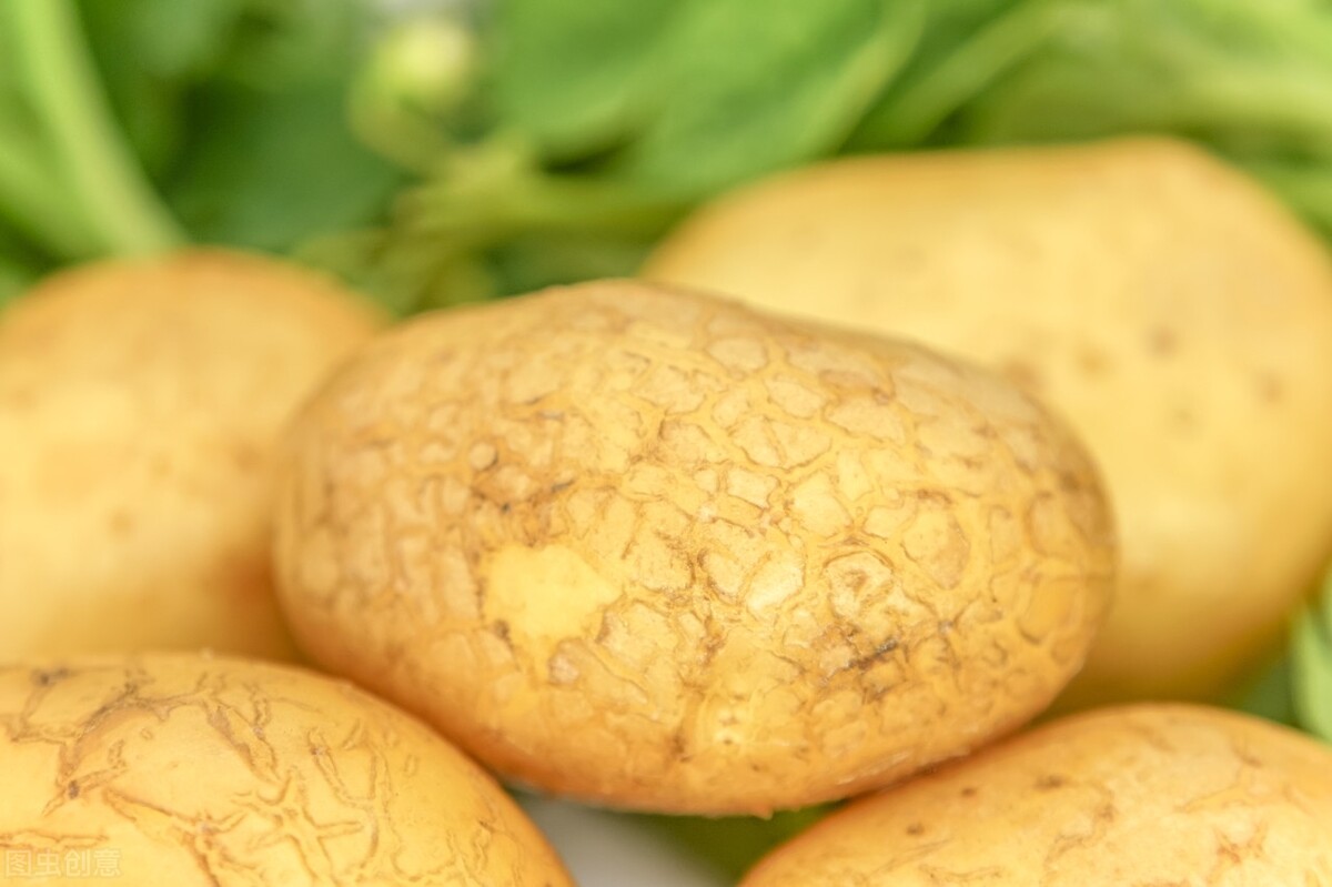 怎么储存土豆过冬,土豆水洗能储存吗