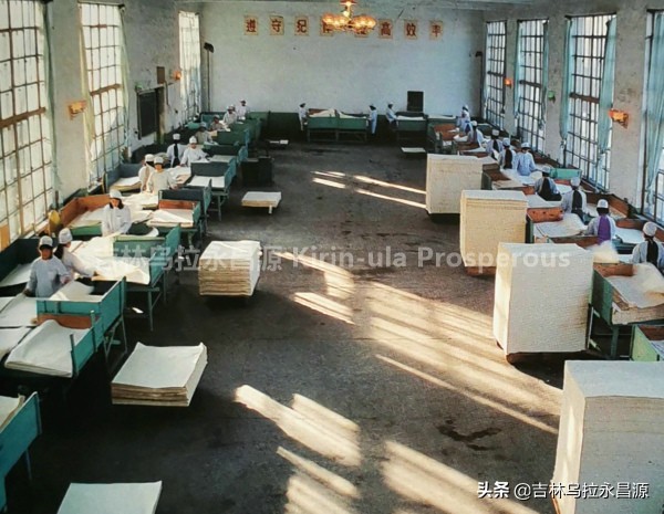 探源话往：吉林市东关电厂（亿斯特）所在地原本是江城造纸厂