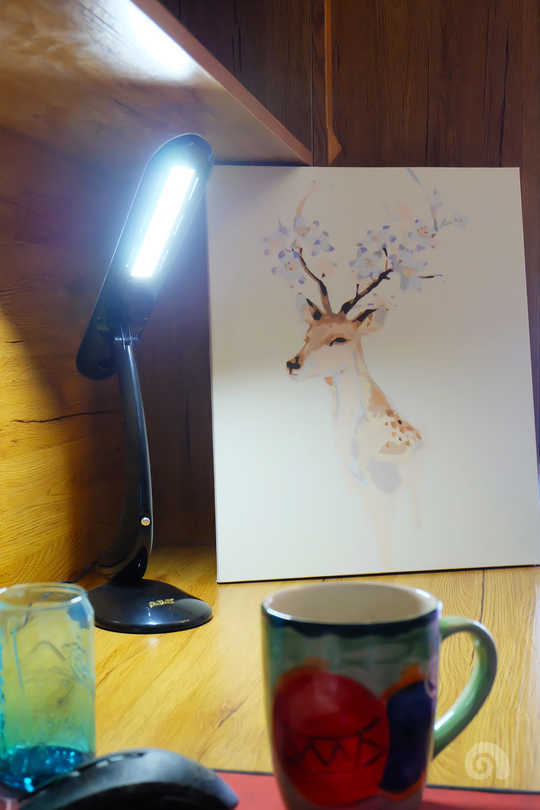 海贼王路飞房间布置,海贼王路飞房间怎么设计