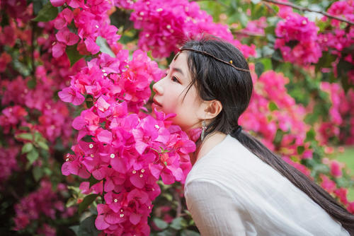 马惊飙莲荷主题诗作小辑