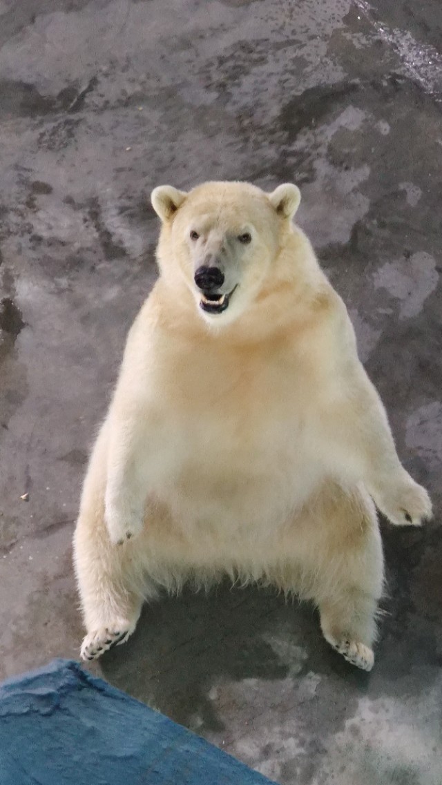 福州欧乐堡海洋世界家庭套票团购,福州欧乐堡海洋世界门票价格