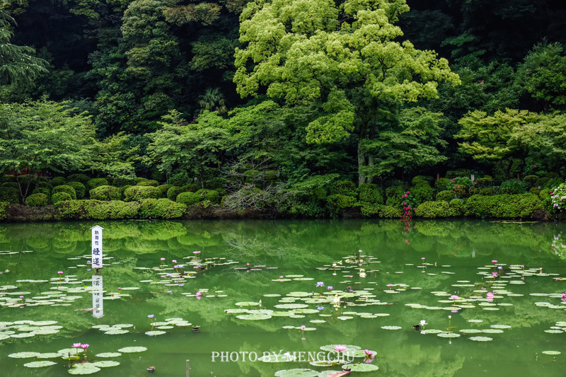 九州别府地狱温泉,别府八大地狱温泉攻略