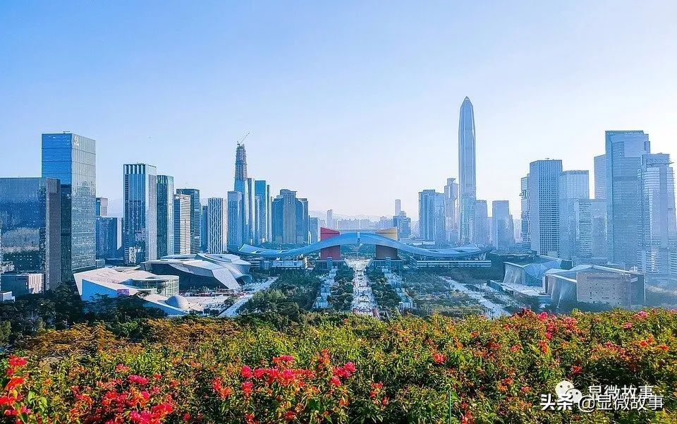 炒房团攻陷小城市全集,炒房团攻陷小城市完整版