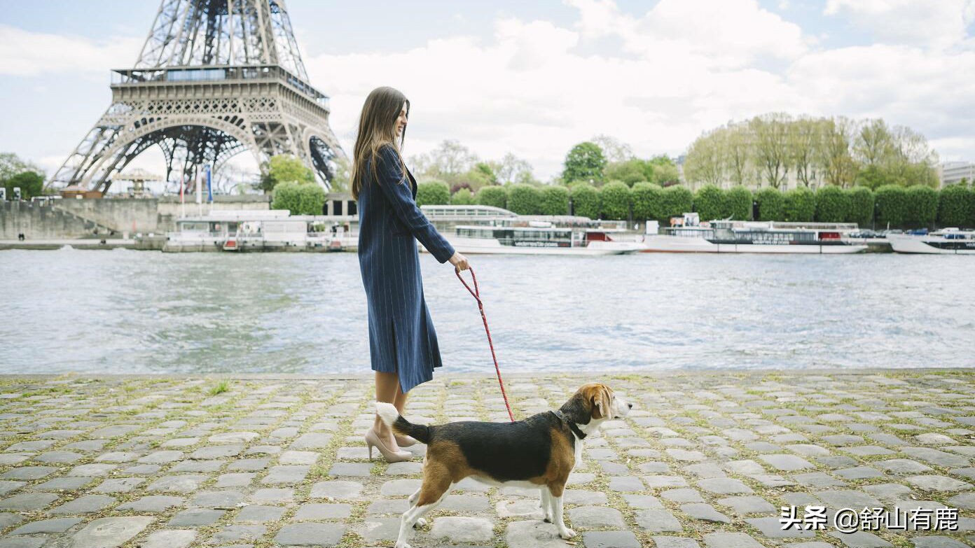 关于赚钱的四个顶级忠告,当你身处困境的时候