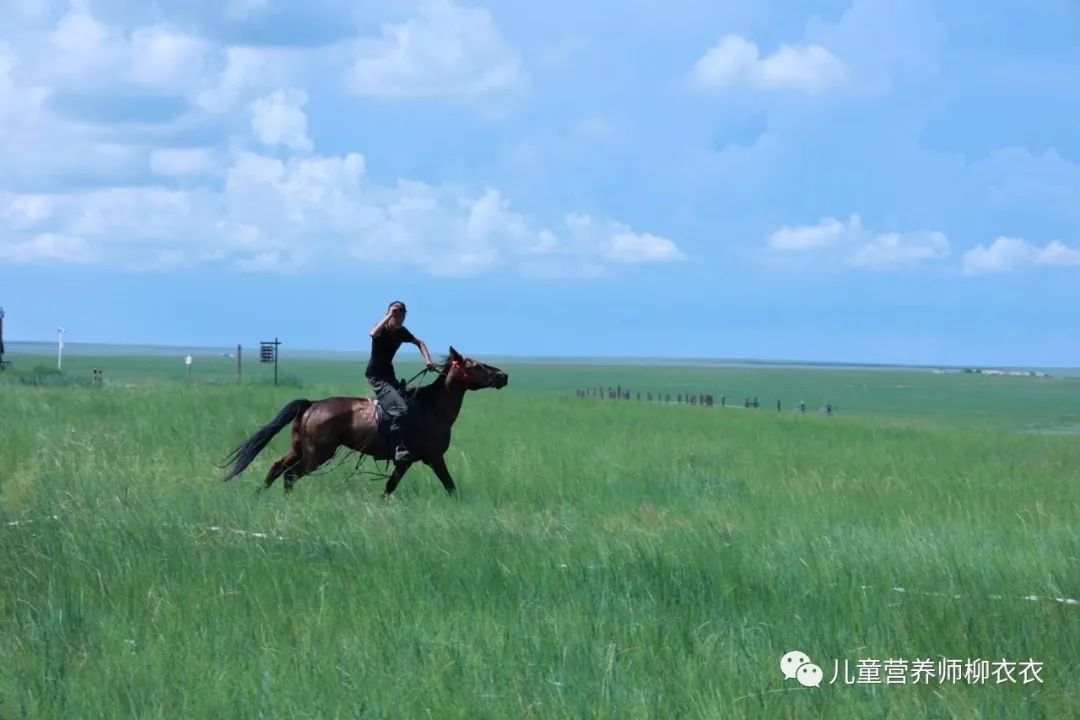 暑假内蒙古旅游攻略亲子,暑假亲子游玩内蒙古5天4夜