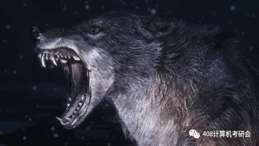 真正的考研逆袭,一个差等生逆袭名校的考研之路