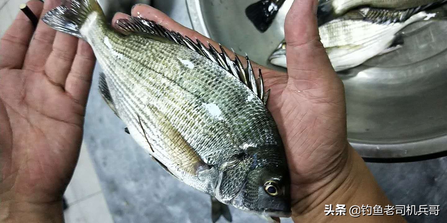 各种鱼钩适合钓什么鱼,各类鱼钩分别适合钓什么鱼