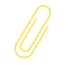 ncaa美国,cbba国家级健身教练证报名入口