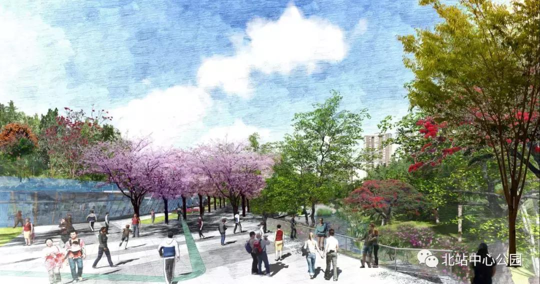 深圳将建8万人专业足球场,全国最大足球公园