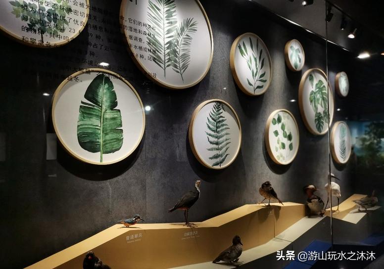 永川吃喝玩乐特色街,永川美食攻略必去的地方