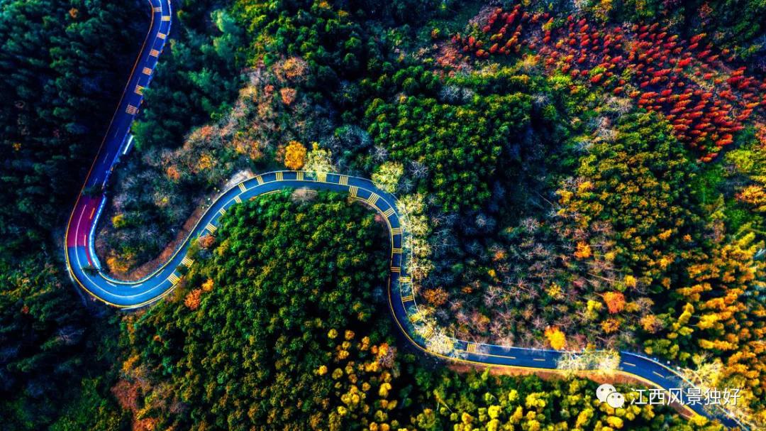朱虹江西风景独好,朱虹绝代佳人
