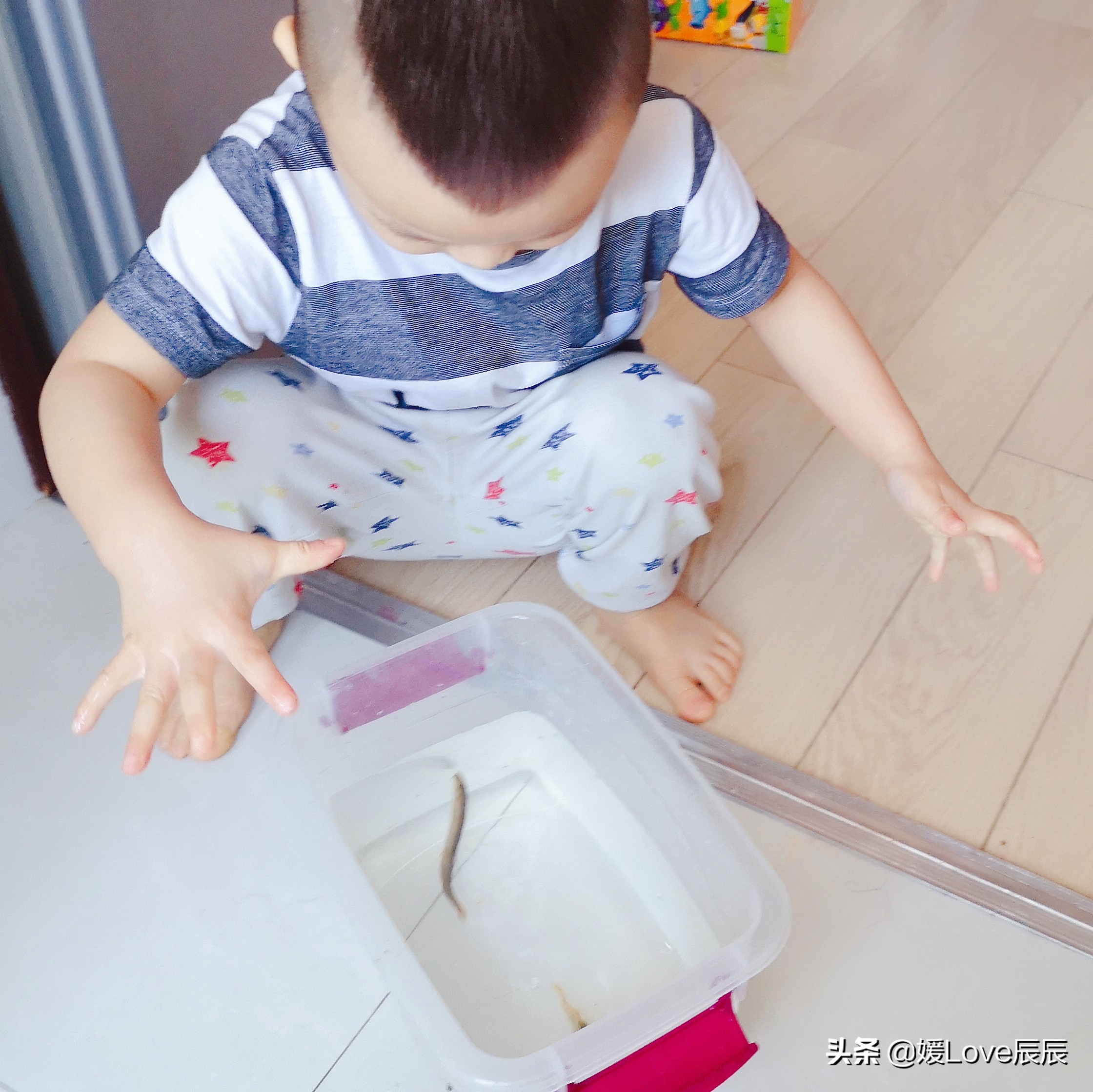 育儿百科十万个为什么,宝宝早教十万个为什么