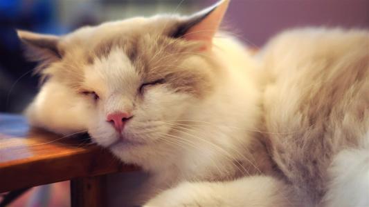 周公解梦的底层逻辑与依据,周公解梦到底可不可信