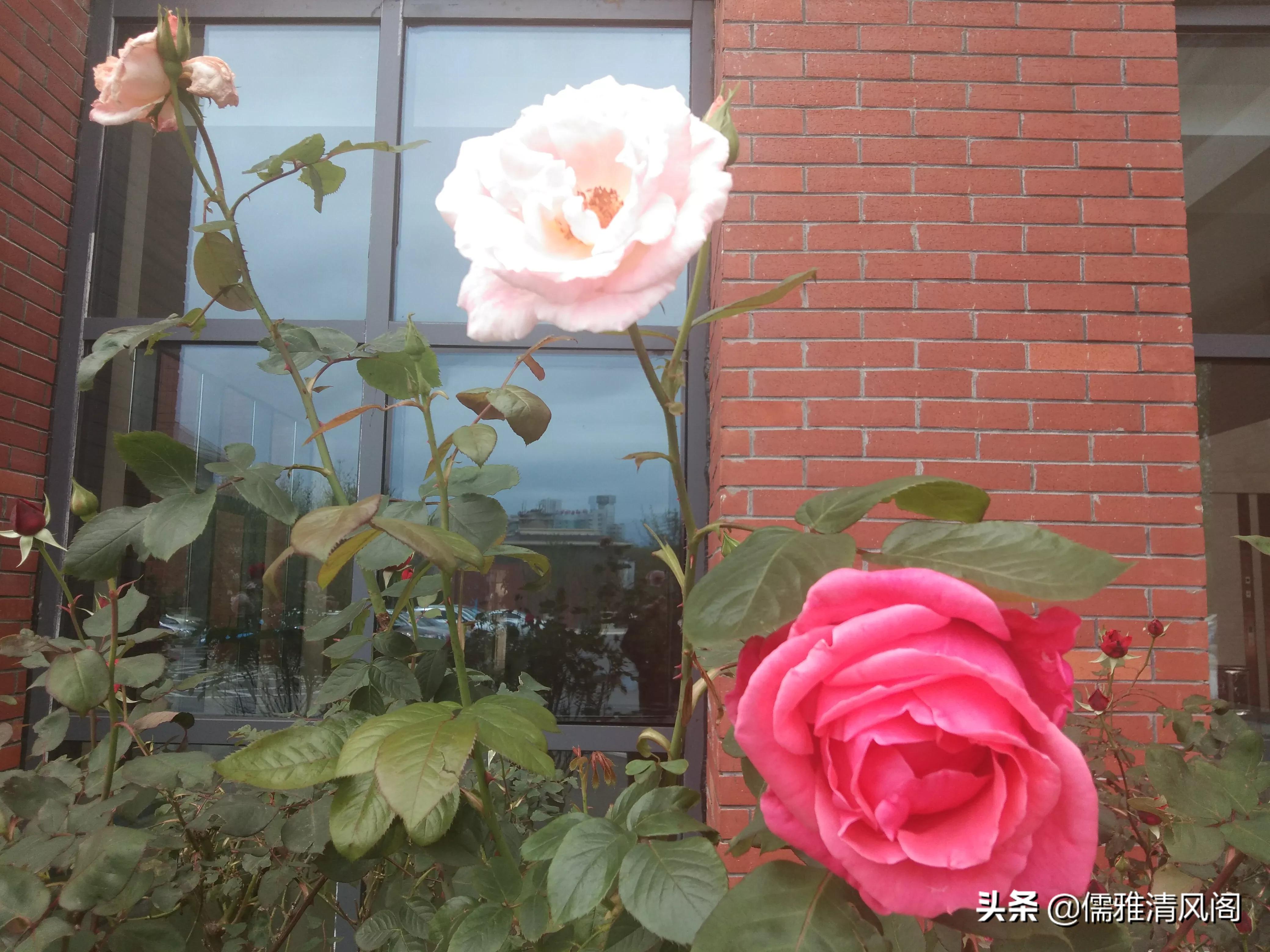 微小说讽刺哲理,微小说的优点