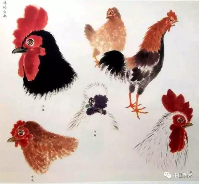 禽鸟画教程,最简单的禽鸟画法