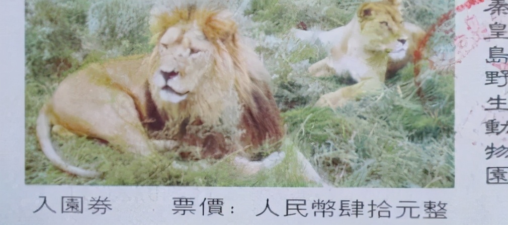 秦皇岛老君顶景区门票,秦皇岛有哪些值得一去的景点