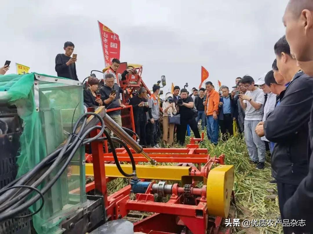 种大蒜机械化,大蒜全程机械化种植