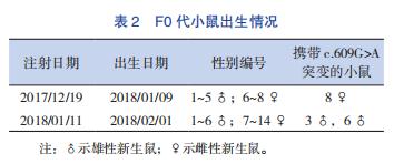基因治疗——遗传代谢病治疗的新希望