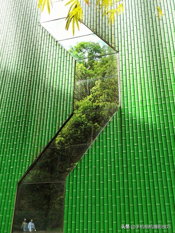 拍花小技巧怎样拍出好看的照片,如何拍花拍出意境