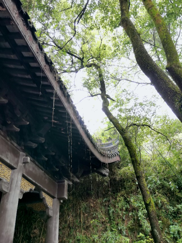 绍兴越王山的历史传说,绍兴古越龙山风景区