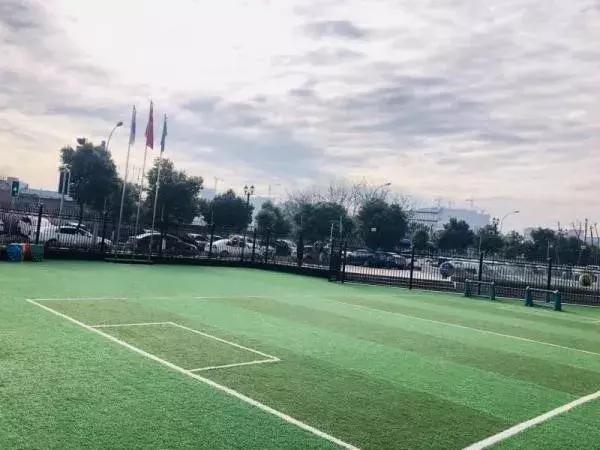 蒙氏教育幼儿园探园,参观蒙氏幼儿园的相关问题