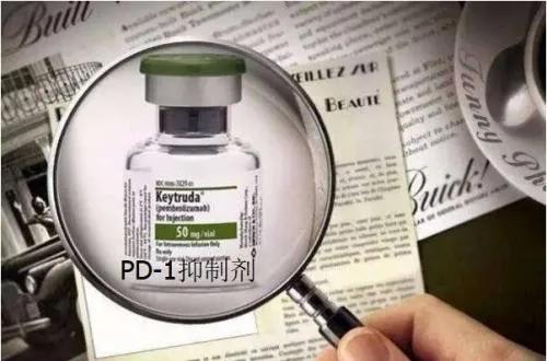 2024全国肿瘤防治宣传周科普视频,2020年度小细胞肺癌治疗指南