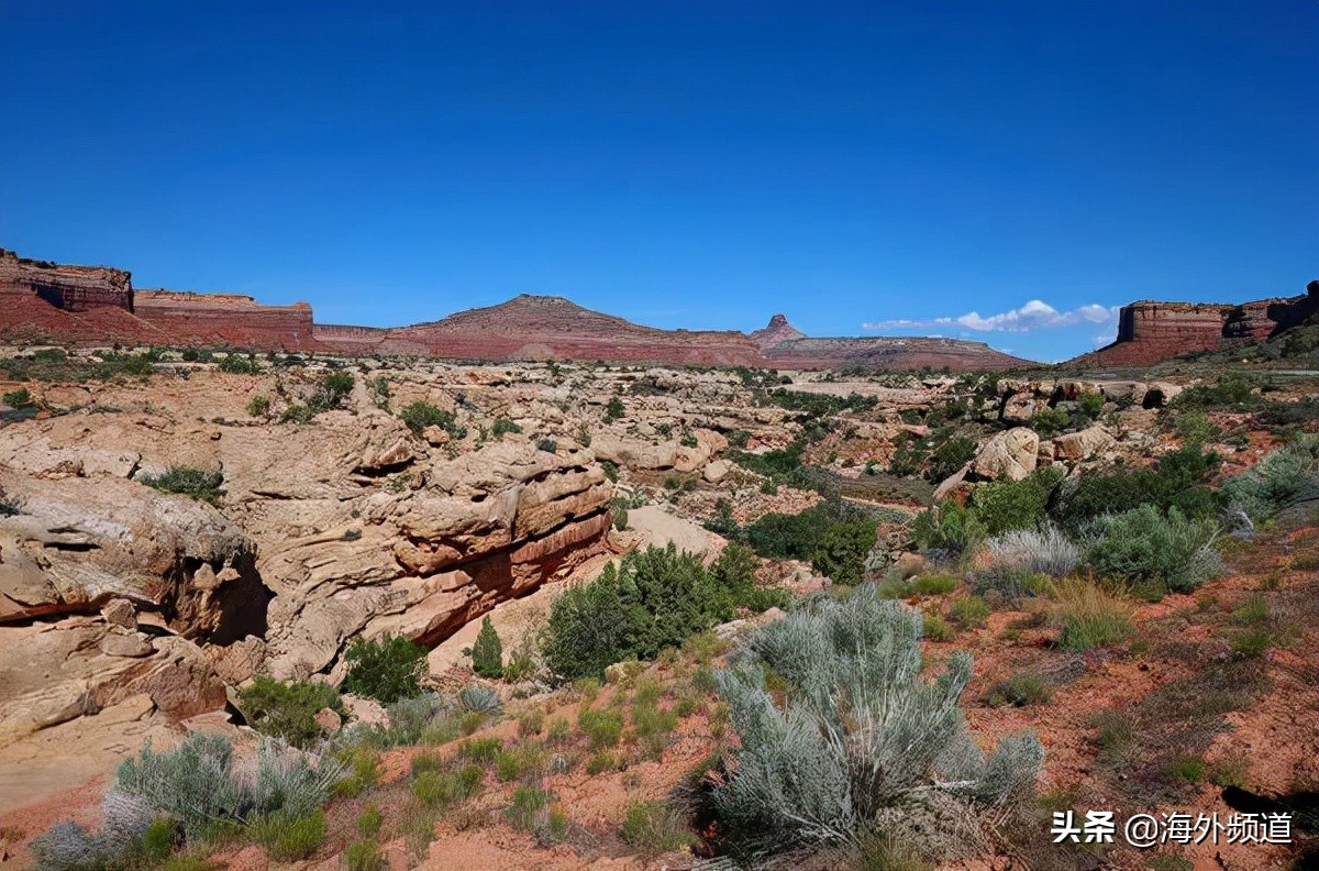 美国哪个州英语讲得最好,美国学汉语最多的州