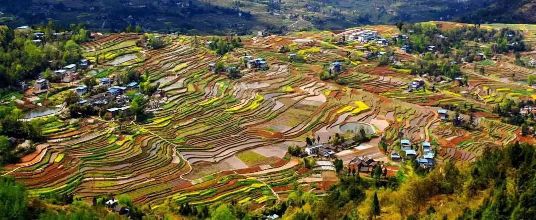 重庆乡村振兴村经济变化,重庆乡村振兴最新消息