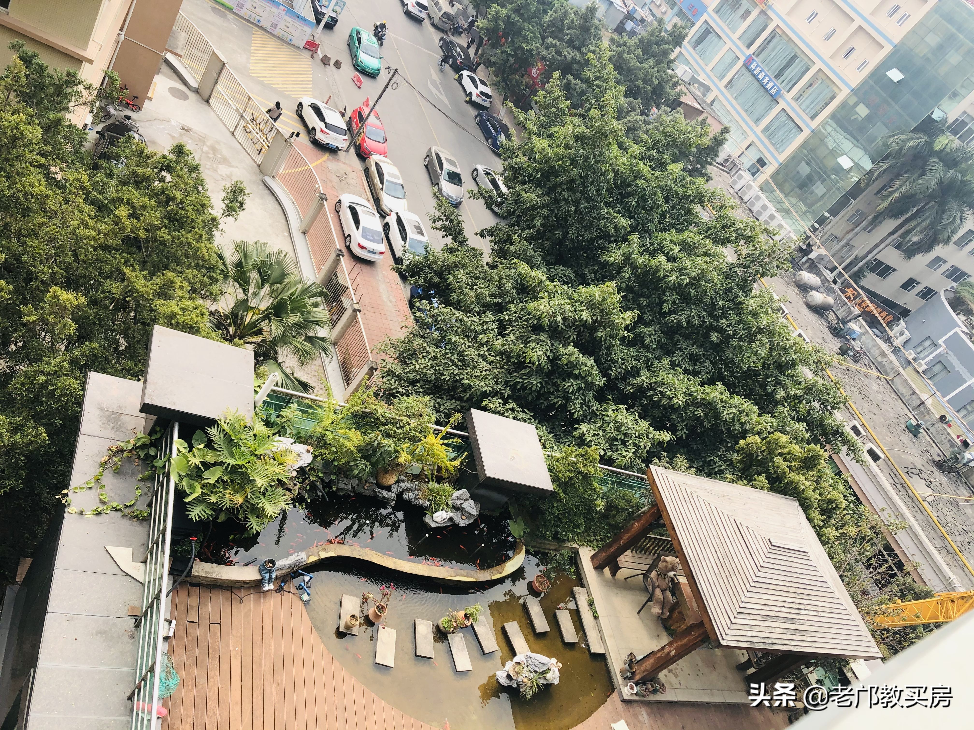 骏景属于什么系,骏景有多少户